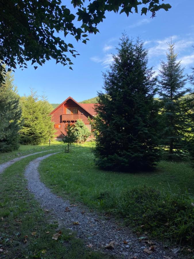 Csabi & Edi Vendeghaz Villa Sub Cetate Eksteriør billede